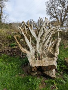  Therapeutic outdoor learning and gentle inspiration