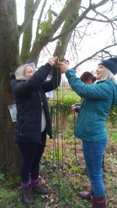  Therapeutic outdoor learning and gentle inspiration